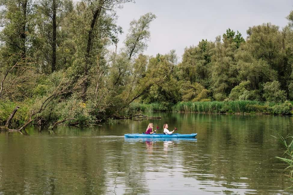 imagen n.º 11 de Biesbosch Alquiler de Kayak con Mapa de la Ruta y Chaleco Salvavidas actividad en Dordrecht, subida por el proveedor