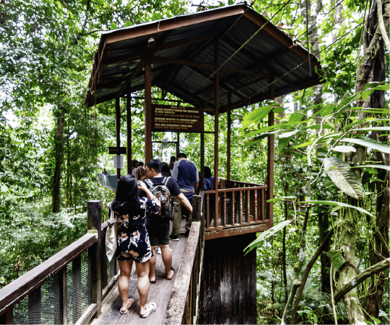 billede nr.8 af aktiviteten Sabah: Kinabalu Park, varme kilder og ko-farm, dagstur i Kota Kinabalu, uploadet af udbyder