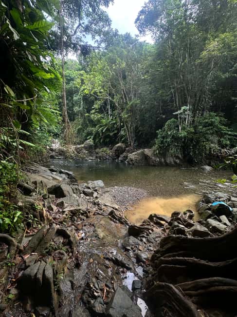 billede nr.13 af aktiviteten Fajardo: Guidet eventyr i El Yunque-skoven i Río Grande, Puerto Rico, uploadet af udbyder
