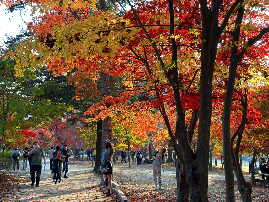 imagen n.º 11 de Seúl: Excursión Montaña Seorak+Isla Nami+Valle del Hielo de Eobi actividad en Chuncheon, subida por el proveedor