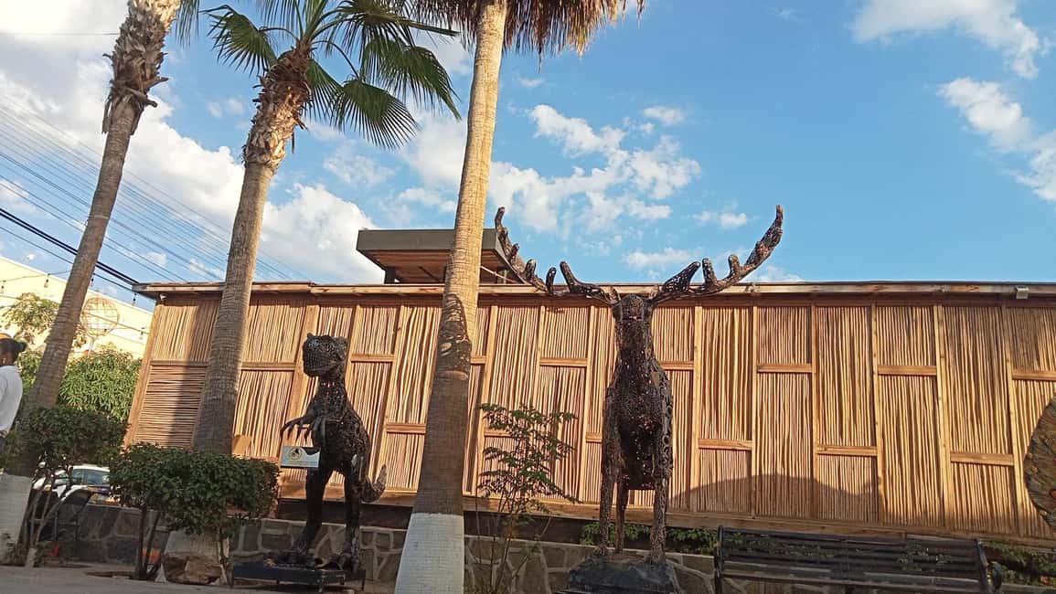 image n.15 of Incredible Private Tour to Todos Santos Magical Town activity in Cabo San Lucas, uploaded by supplier