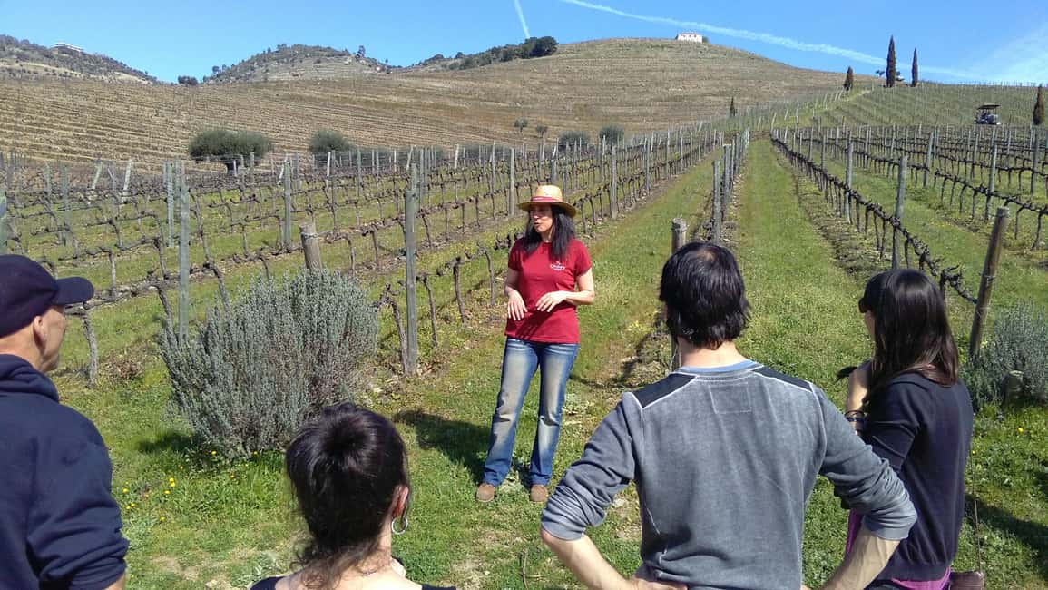 Bild Nr. 5 von Porto: 3 Douro Valley Vineyards Tour mit Mittagessen Aktivität in Região Norte, hochgeladen vom Anbieter
