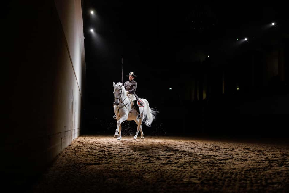 image n.8 of Performance Of The Lipizzans At Spanish Riding School activity in Vienna, uploaded by supplier