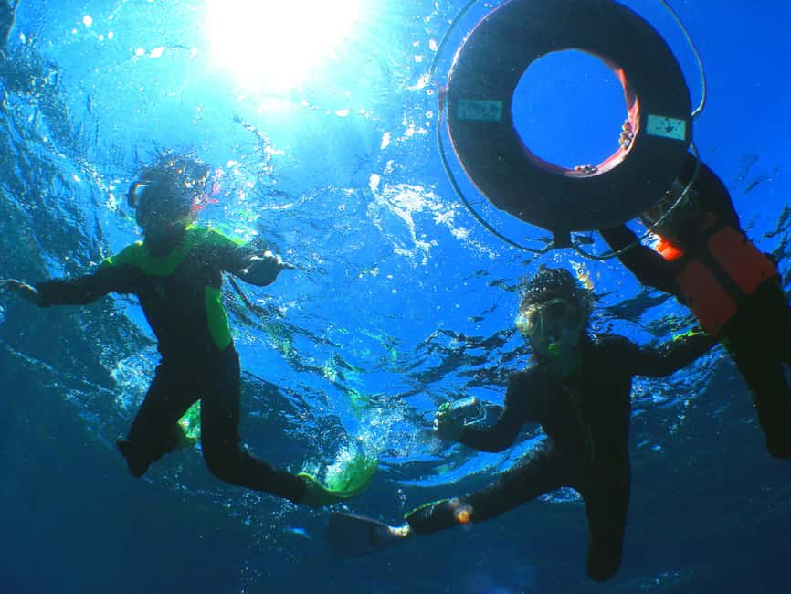 image n.3 of Okinawa: From Naha: Kerama Islands 1-day snorkeling tour activity in Okinawa, uploaded by supplier
