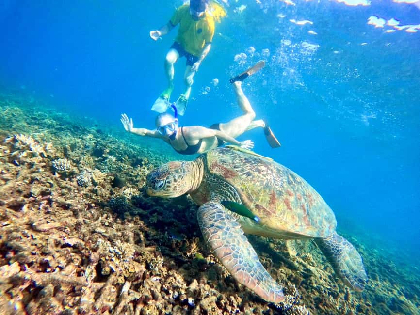 image n.35 of Ko Tao: Tao-Nangyuan Snorkeling Day Trip with Meals & Sunset activity in Ko Tao, uploaded by supplier