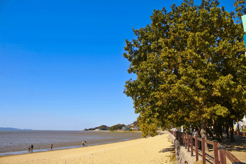 image n.14 of Seoul: Ganghwa Island UNESCO World Heritage Private Tour activity in Incheon, uploaded by supplier