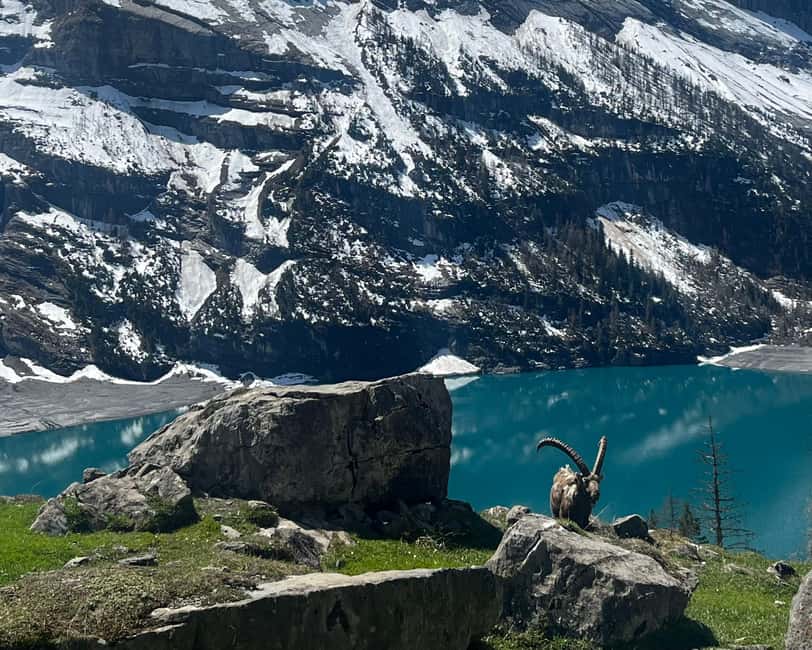 imagen n.º 7 de Kandersteg: Excursión guiada con un triatleta suizo actividad en Interlaken, subida por el proveedor