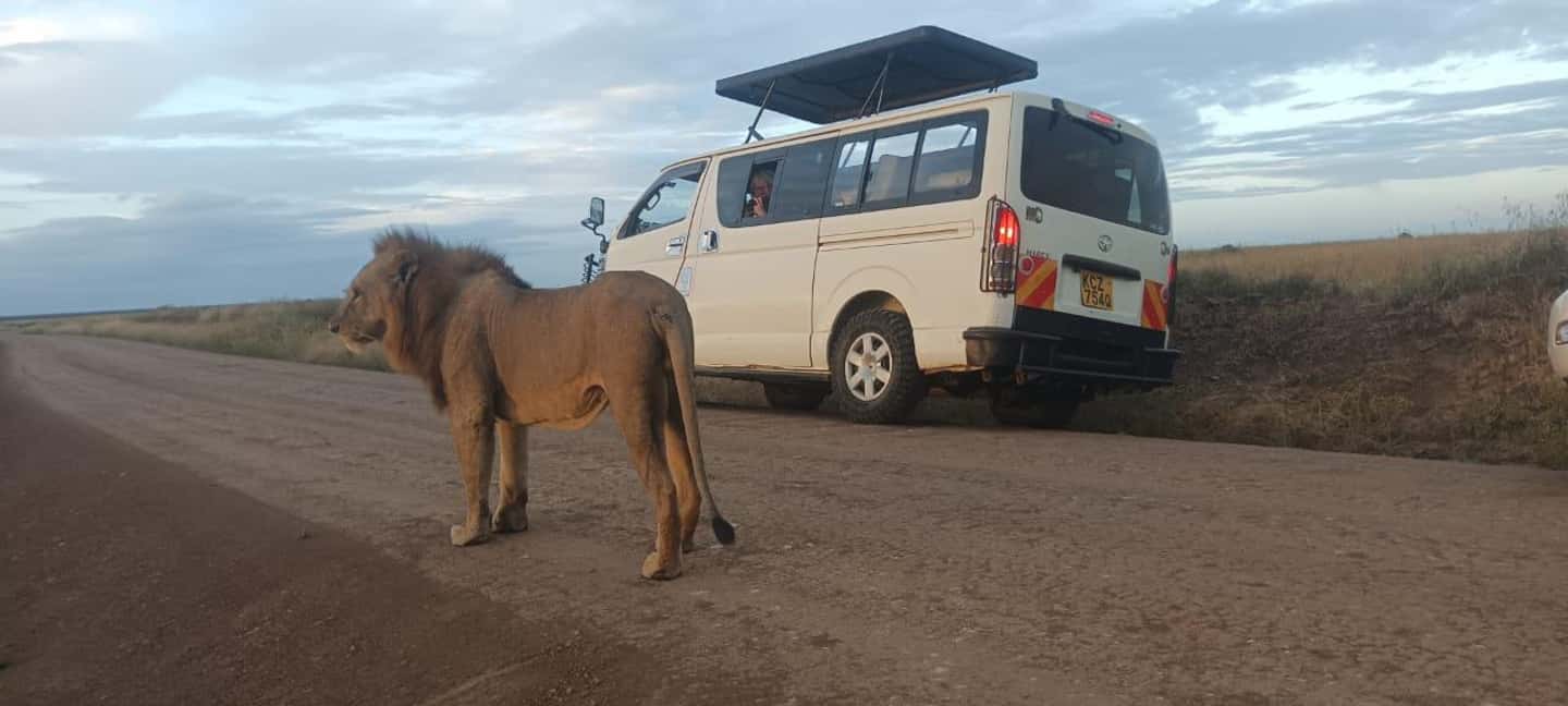 image n.9 of Nairobi National Park, Elephant Orphanage & Giraffe Centre activity in Nairobi, uploaded by supplier