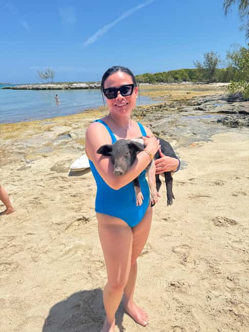image n.12 of Nassau: 4-Island Tour Swimming Pigs, turtles, snorkeling activity in New Providence, uploaded by supplier