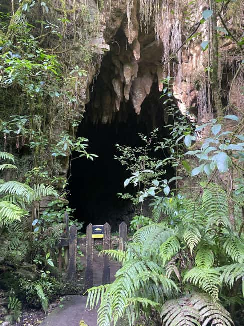image n.9 of Auckland: Waitomo Glowworm Caves Explorer Small Group Tour activity in Waitomo, uploaded by supplier