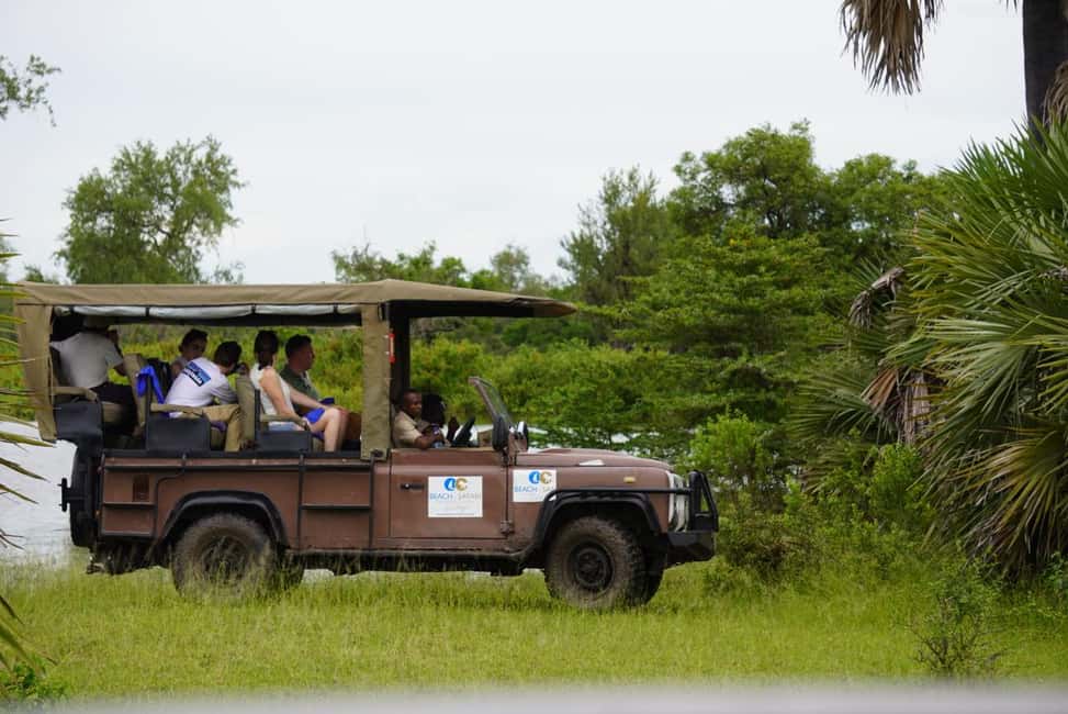 image n.41 of From Zanzibar: Day Selous Game Reserve Safari with Flights activity in Morogoro Region, uploaded by supplier