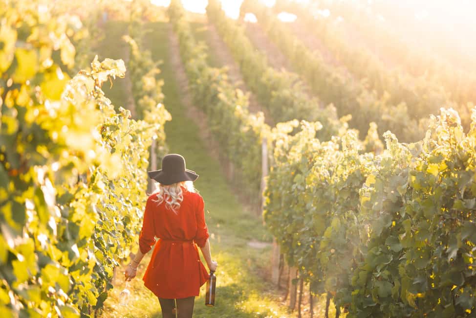 image n.3 of Panoramic Prosecco Tasting Tour From Padua activity in Valdobbiadene, uploaded by supplier