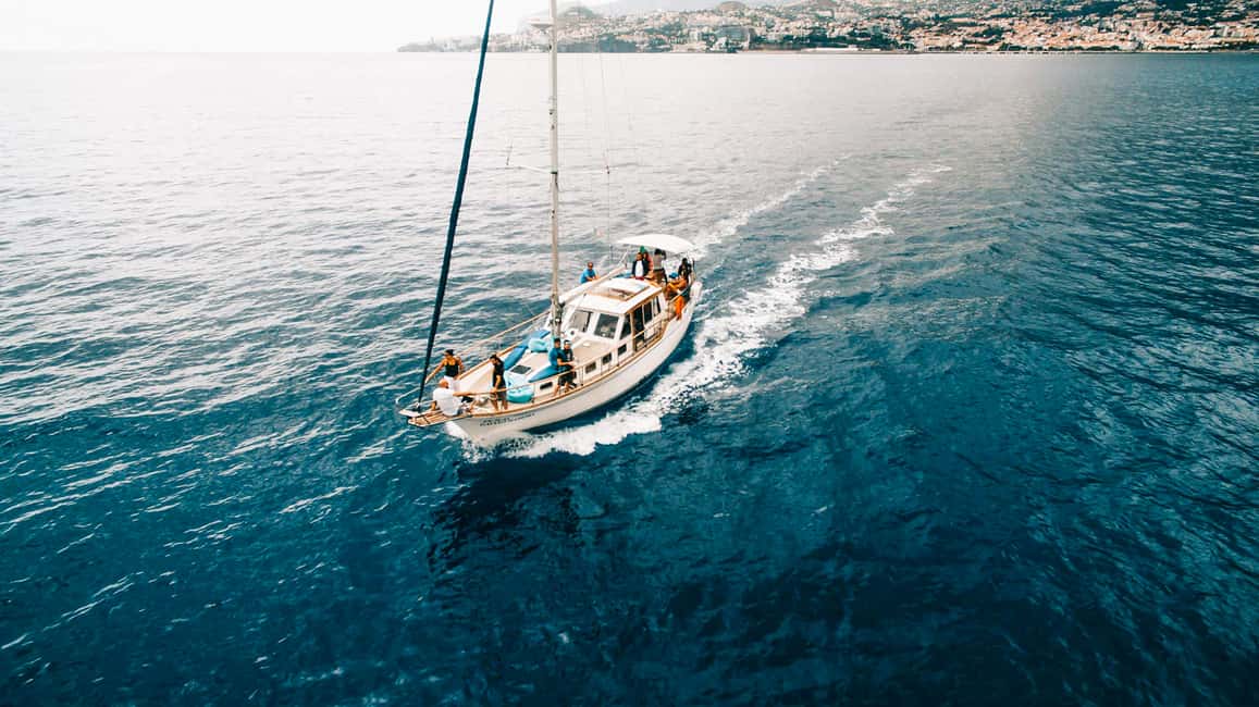 Immagine nº 4 di Funchal: tour in barca a vela al tramonto attività a Câmara de Lobos, caricata dal fornitore