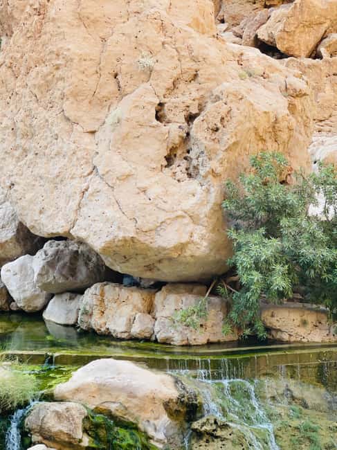 Immagine nº 28 di Muscat: escursione di un'intera giornata a Wadi Shab, grotta romantica e sinkhole attività a Regione al-Sharqiyya, caricata dal fornitore