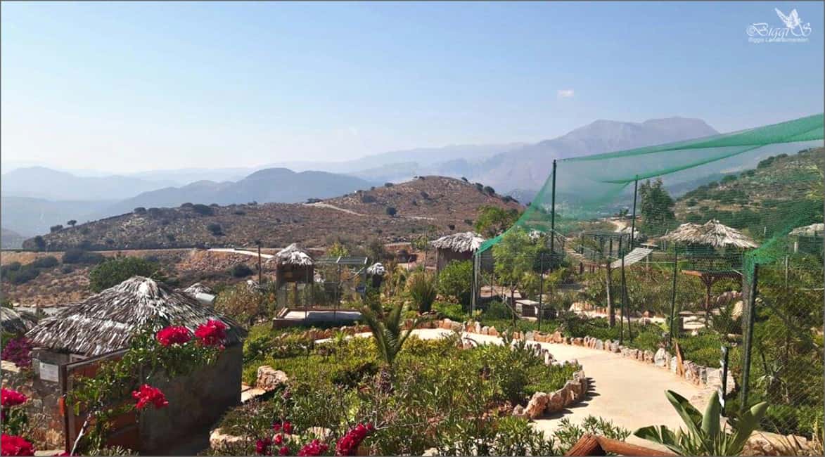 image n.12 of Private Tour to Spinalonga - Elounda, Ag Nikolaos, Olive Oil activity in Crete, uploaded by supplier
