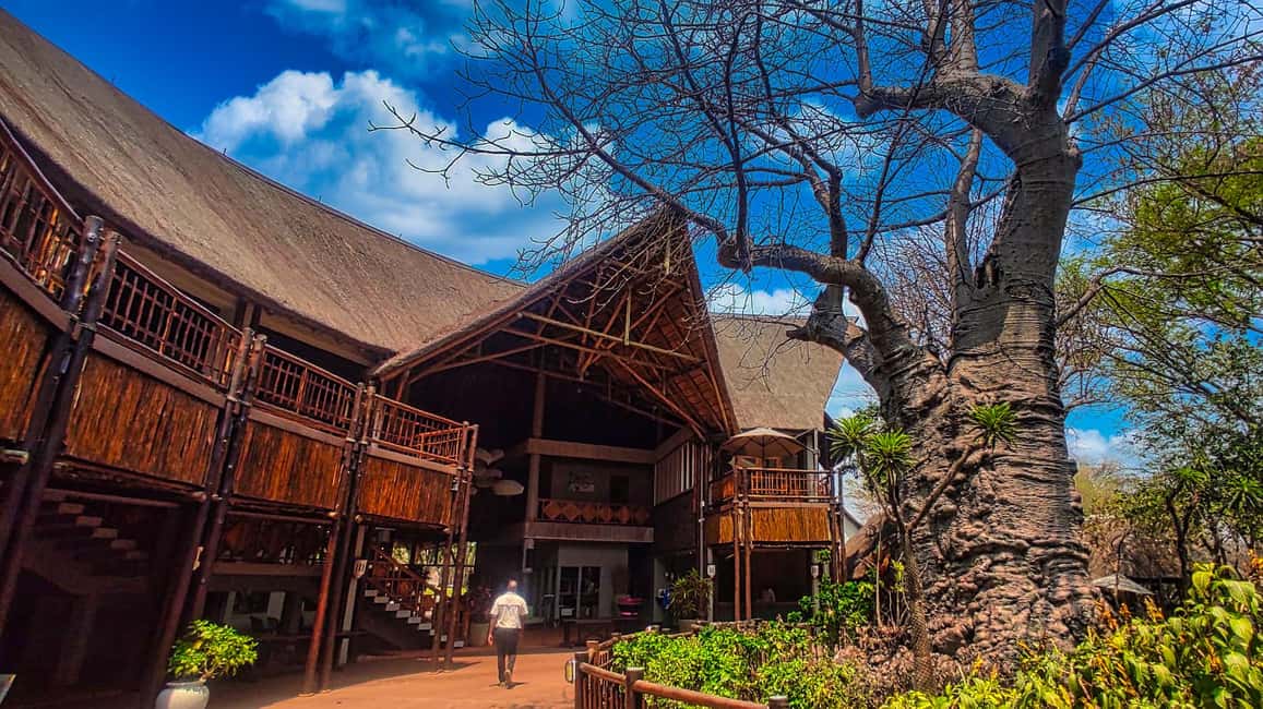 image n.4 of From Zimbabwe: Chobe Safari and Quadripoint Day trip activity in Victoria Falls Town, uploaded by supplier