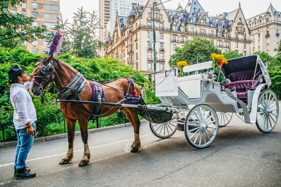 Bild Nr. 2 von NYC: Geführte Kutschfahrt im Central Park Aktivität in New York, hochgeladen vom Anbieter