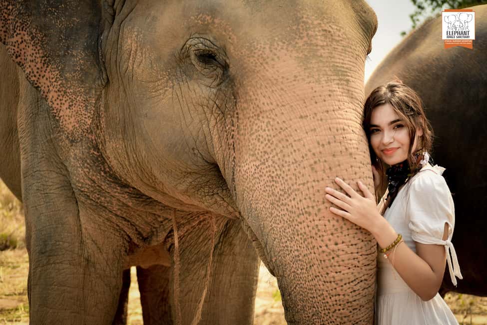 image n.9 of Pattaya: Elephant Jungle Sanctuary Half-Day Tour with Meal activity in Pattaya, uploaded by supplier