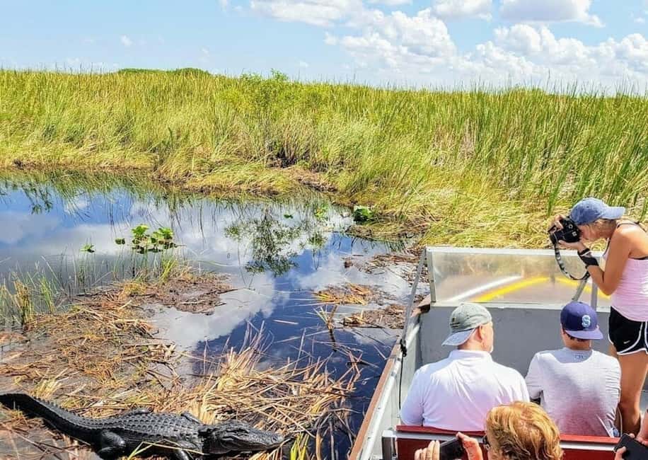 image n.11 of Miami: Everglades Full-Day Tour with 2 Boat Trips and Lunch activity in Florida, uploaded by supplier