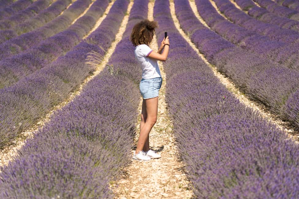 image n.5 of From Avignon: Half Day Lavender Tour to Sault activity in South of France, uploaded by supplier