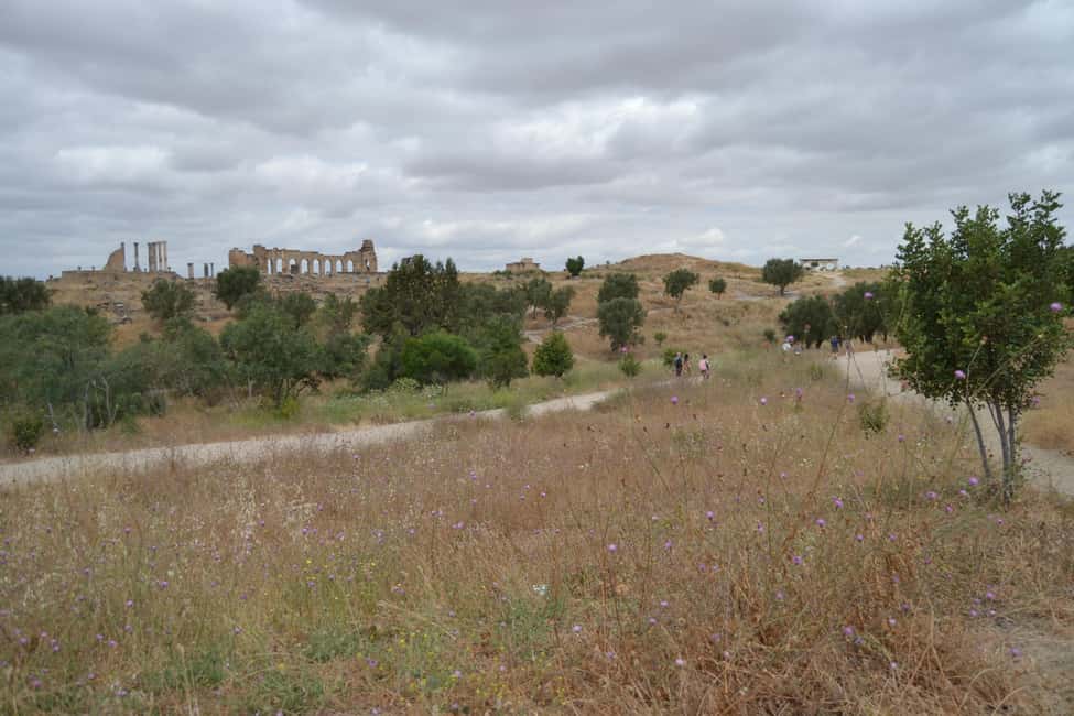 billede nr.16 af aktiviteten Dagstur fra Fes til Volubilis via Meknes og Moulay Idriss i Meknès, uploadet af udbyder