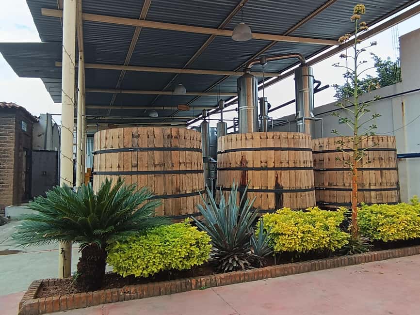 image n.7 of From Guadalajara: Tequila Tour with Tastings activity in Guadalajara, uploaded by supplier