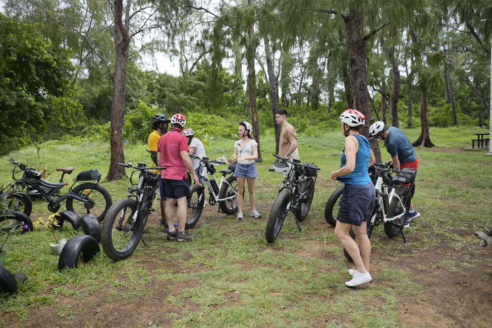 bild nr.16 av Autentisk guidad tur på elcykel längs nordöstra kusten aktivitet i Grand Gaube, uppladdad av arrangören