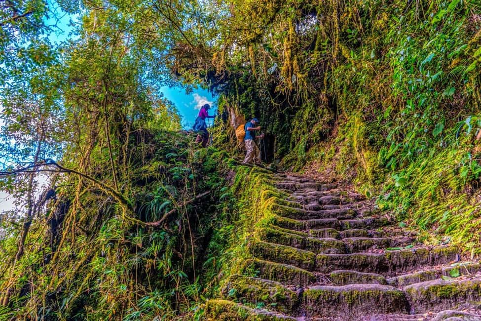imagen n.º 11 de Desde Cusco: Camino Inca de 4 días a Machu Picchu Grupos reducidos actividad en Departamento del Cuzco, subida por el proveedor