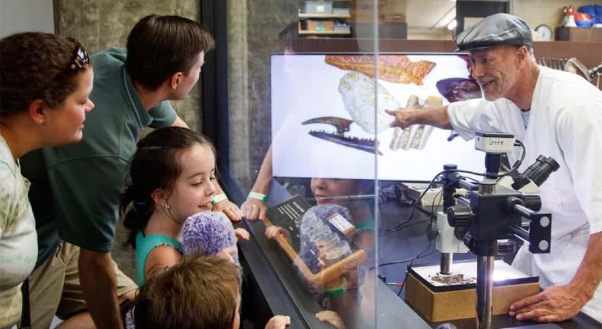 Image N°3 de Los Angeles : billet pour le musée La Brea Tar Pits activité à Los Angeles, publiée par le prestataire