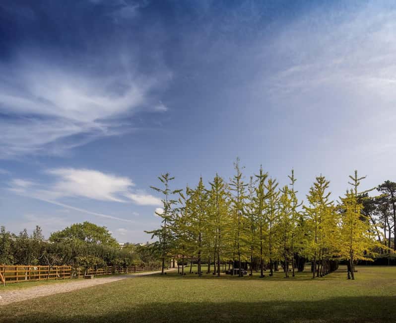 image n.18 of Porto: Serralves Foundation All Access Pass activity in Porto, uploaded by supplier