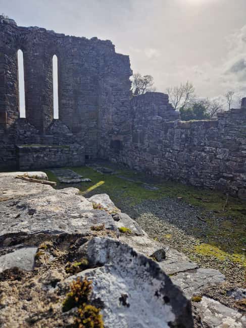 Obraz nr 17 z atrakcji Killarney: Rejs wycieczkowy na wyspę Innisfallen, jeziora Killarney w Munster, przesłany przez organizatora