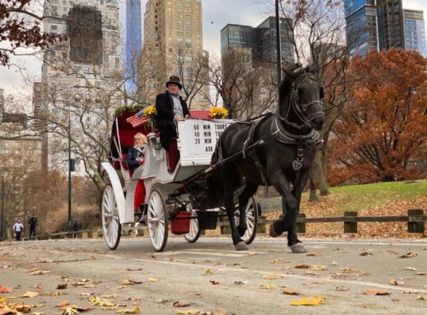 image n.16 of NYC Private Central Park Horse Carriage Ride with Guide activity in New York City, uploaded by supplier