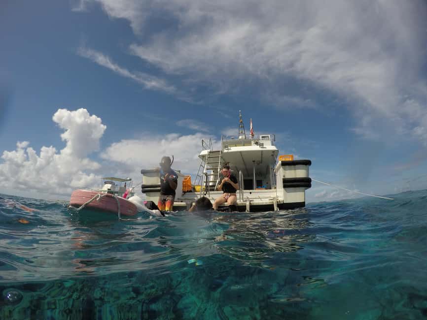 image n.3 of Okinawa : Kerama Whole Day Snorkeling Tour From Chatan activity in Okinawa, uploaded by supplier