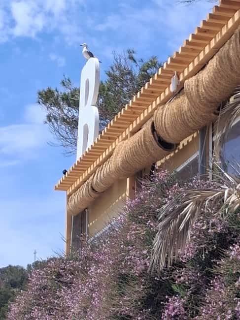 Image N°45 de TOUR DES INCONTOURNABLES D'IBIZA : Du patrimoine de l'Unesco aux plus belles plages activité à Ibiza (ville), publiée par le prestataire