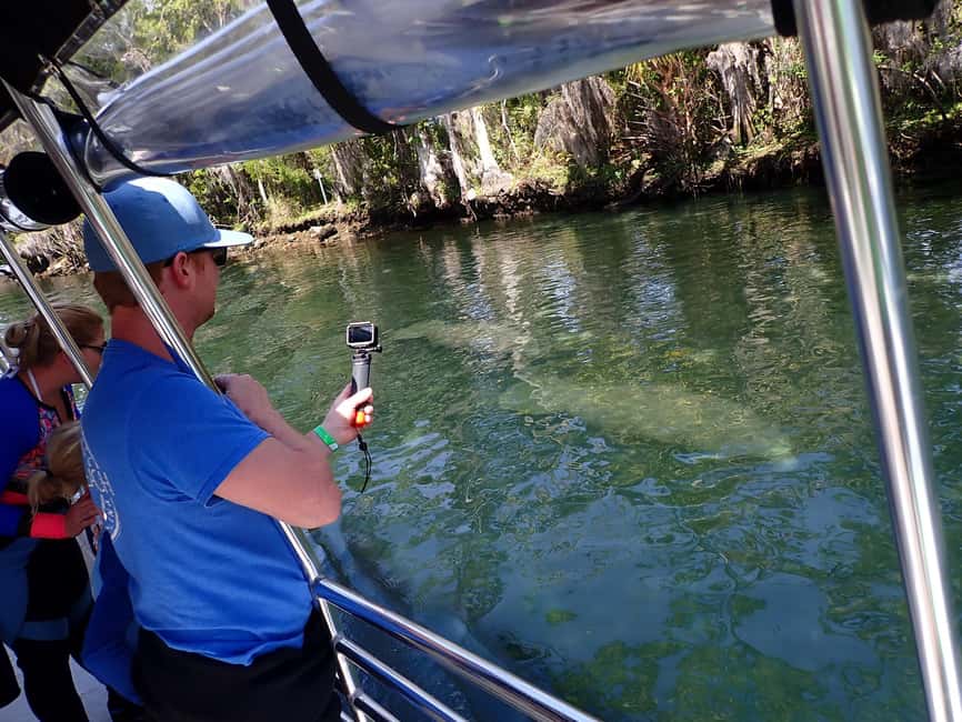 image n.11 of Crystal River: Manatee Viewing Cruise activity in Crystal River, uploaded by supplier