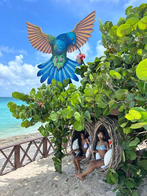 Image N°44 de Nassau : Cochons, plongée en apnée, tortues, déjeuner, club de plage privé activité à New Providence, publiée par le prestataire