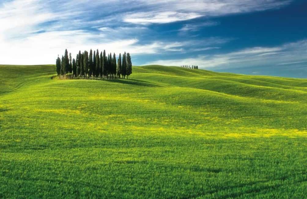 Immagine nº 15 di Da Siena: tour enogastronomico per piccoli gruppi nelle colline toscane attività a Montepulciano, caricata dal fornitore