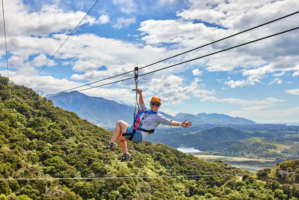 image n.10 of Kaikōura: Zipline and Native Forest Adventure Trip activity in Kaikoura, uploaded by supplier