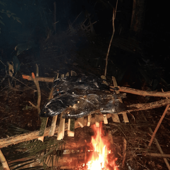 imagen n.º 7 de Manaos: 2, 3 ó 4 días en la Experiencia Supervivencia Amazónica actividad en Manaos, subida por el proveedor