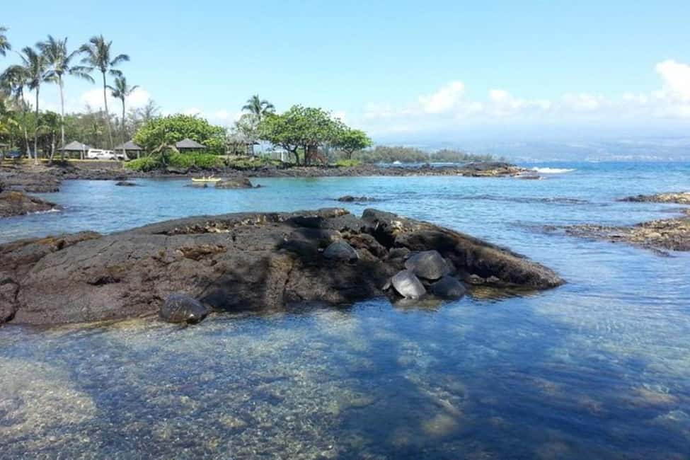 Immagine nº 12 di Hilo : Tour d'avventura del Parco Nazionale dei Vulcani dell'Isola Grande attività a Hawaii, caricata dal fornitore