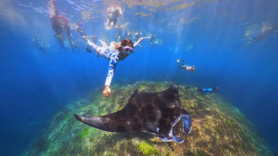 image n.6 of From Bali: Swim with Manta Rays in Nusa Penida activity in Bali, uploaded by supplier
