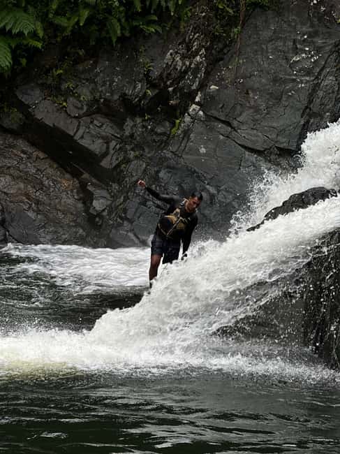 billede nr.8 af aktiviteten Fajardo: Guidet eventyr i El Yunque-skoven i Río Grande, Puerto Rico, uploadet af udbyder