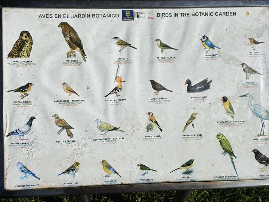 image n.10 of Private Bandama Caldera, Botanic Garden(/Wine*), Old Town activity in Las Palmas, uploaded by supplier