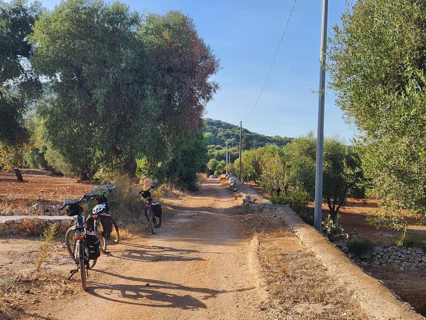 Immagine nº 12 di Ostuni: Tour in bicicletta con un bicchiere di vino e bruschetta attività a Ostuni, caricata dal fornitore