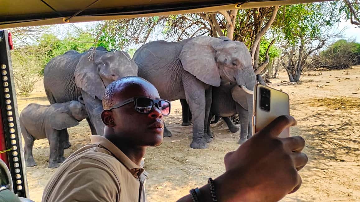 image n.6 of From Zimbabwe: Chobe Safari and Quadripoint Day trip activity in Victoria Falls Town, uploaded by supplier