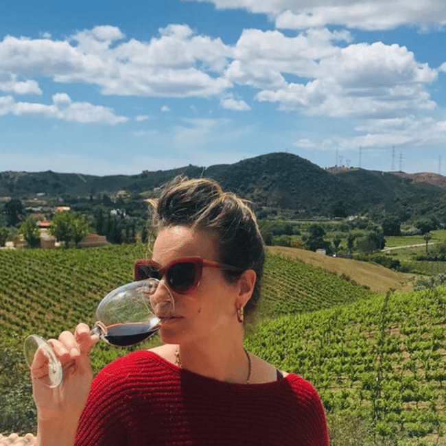 image n.8 of From Albufeira: Full-Day Wine Tasting Tour with a Guide activity in Monchique, uploaded by supplier