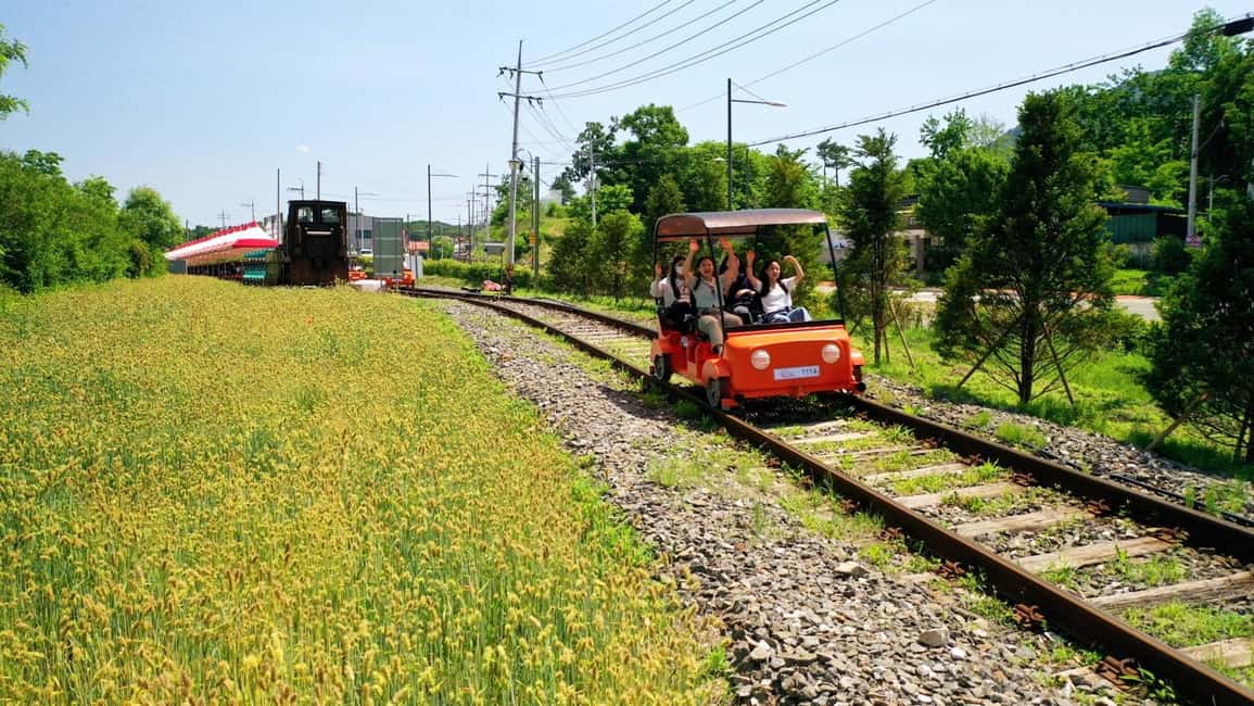 imagen n.º 8 de Seúl: Excursión a la Isla de Nami/Jardín de la Calma Matutina (+Bicicleta de Ferrocarril) actividad en Chuncheon, subida por el proveedor