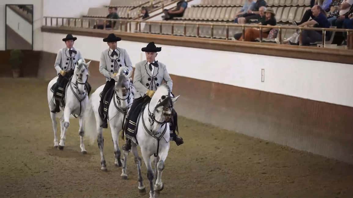 imagen n.º 15 de Desde Sevilla: Jerez, Cádiz y los Caballos Andaluces actividad en Jerez de la Frontera, subida por el proveedor