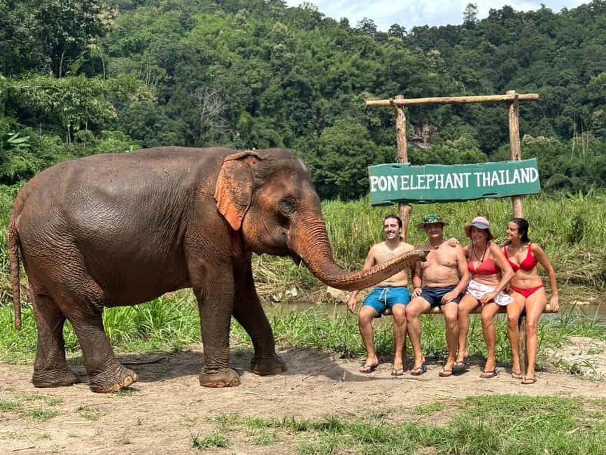 image n.38 of Chiang Mai: Elephant Sanctuary, Waterfall & Bamboo Rafting activity in Chiang Mai, uploaded by supplier