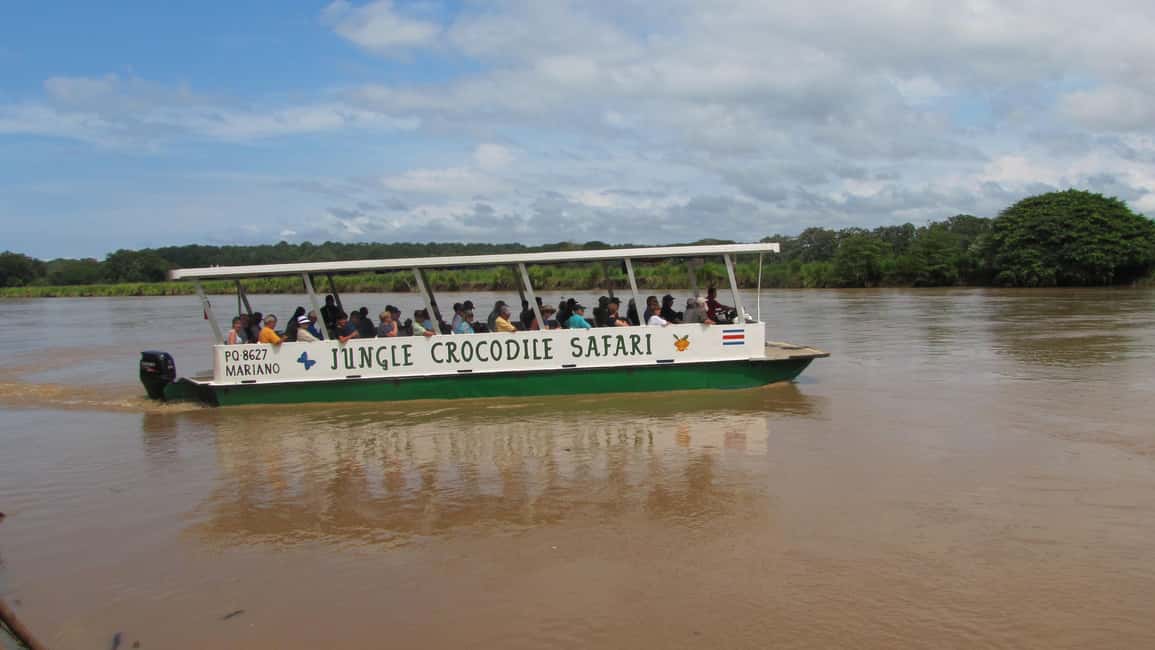 image n.10 of Tarcoles River: Jungle Crocodile Safari & Bird Watching Tour activity in San José, Costa Rica, uploaded by supplier